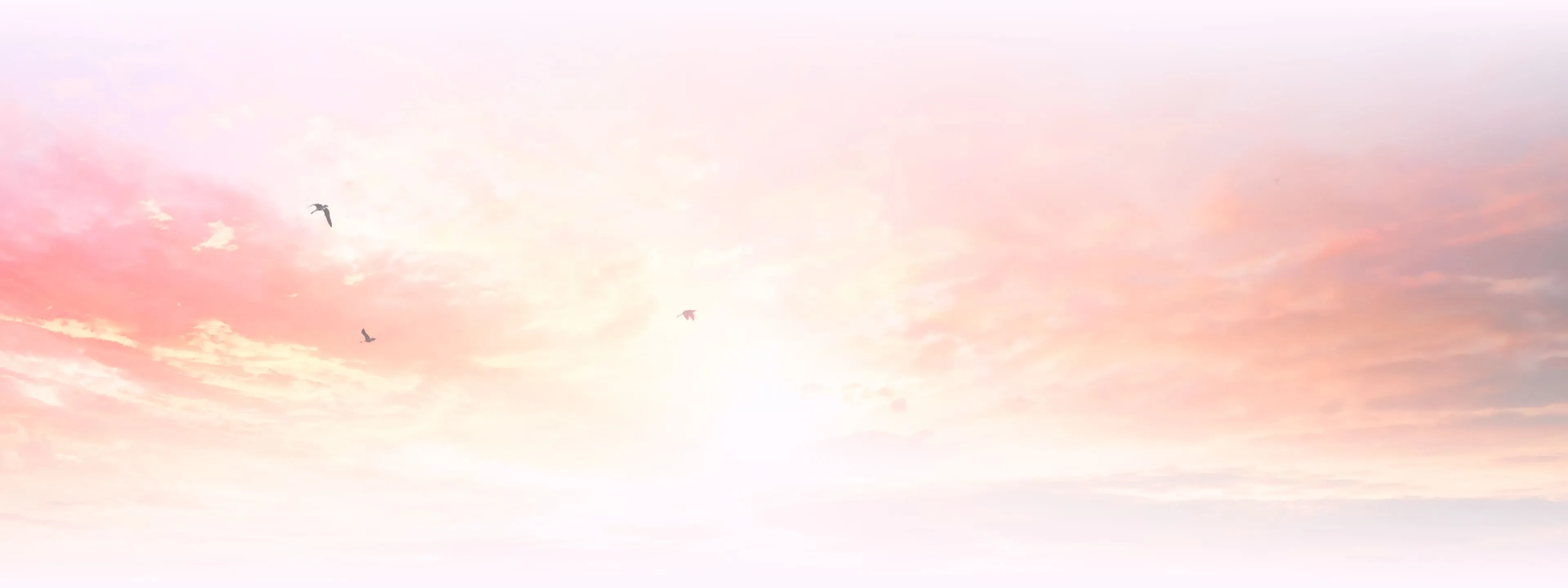 Soft pink and gold gradient background